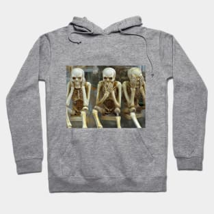 Skeletons Hoodie